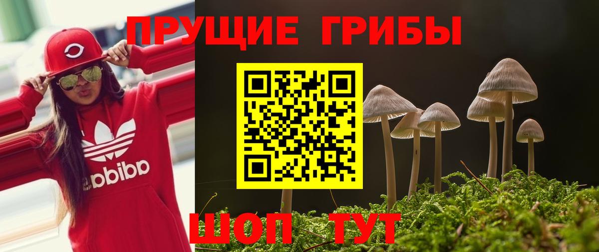 Сланцы  Псилоцибиновые грибы ЛСД  Вход с VPN 